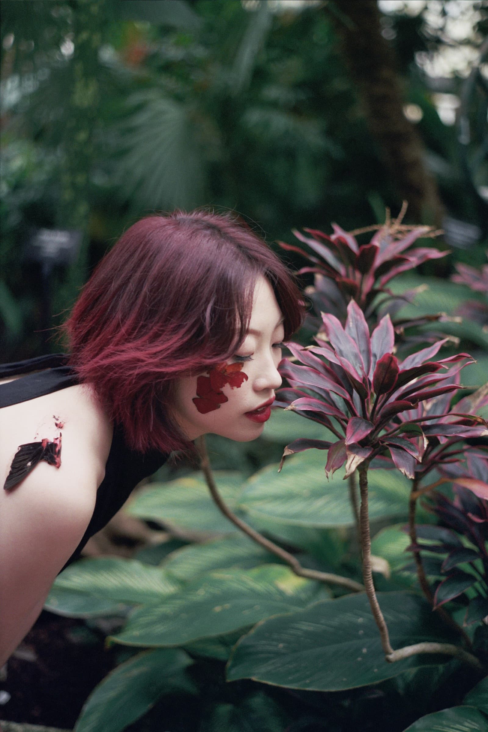 Leaning toward a deep red plant, a wing on the upper arm