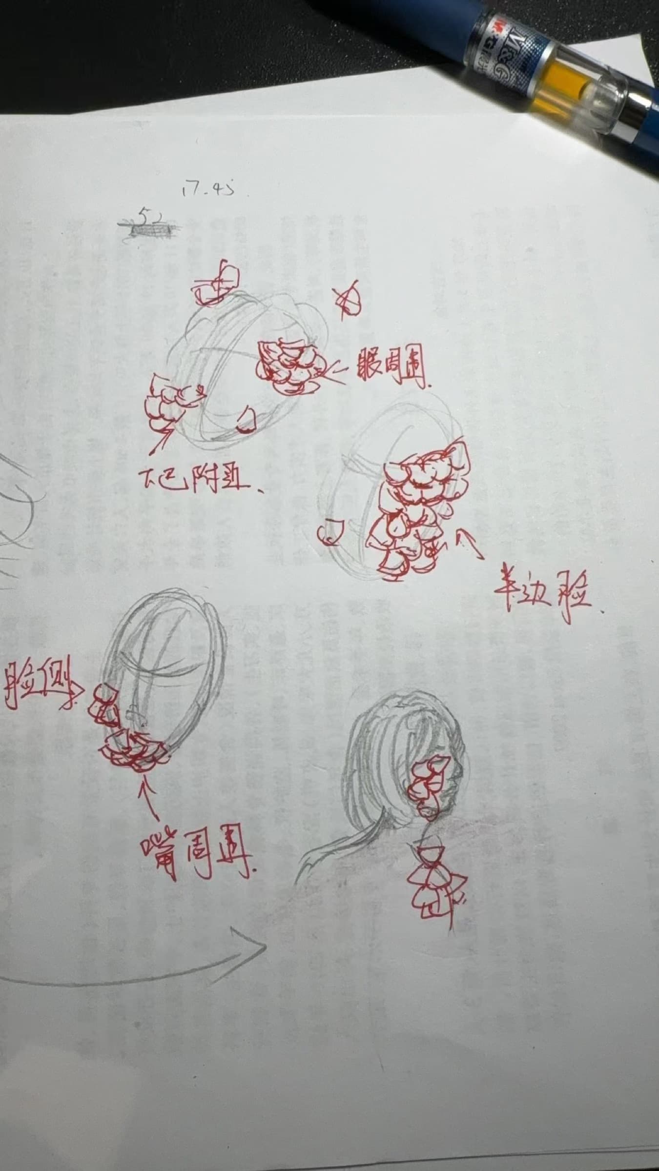 Pencil and red-pen sketches planning where the wings sit on the face